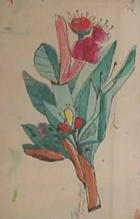 Flores