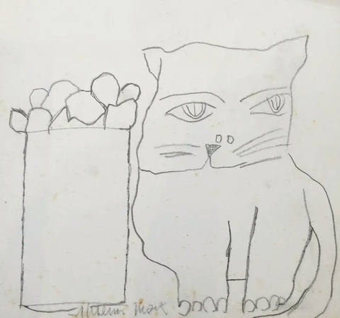 Gato