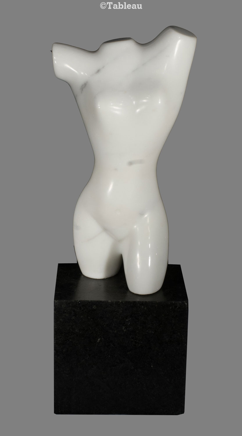 Torso