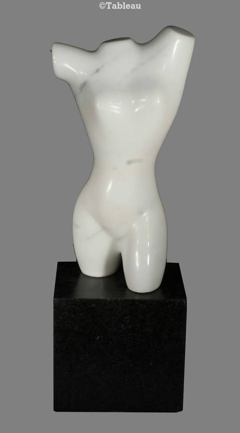 Torso