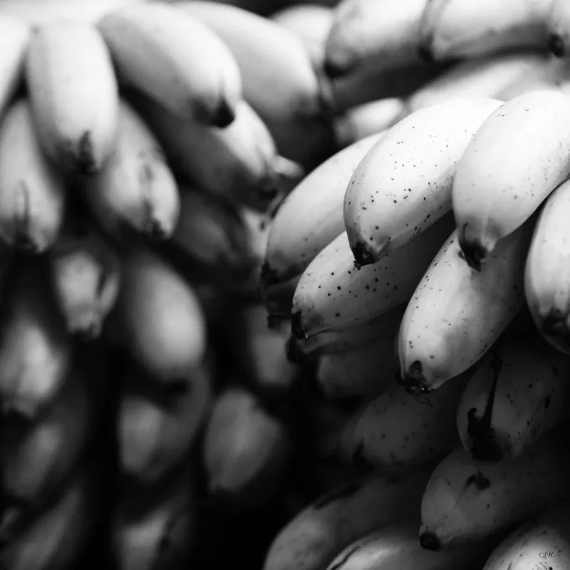 Empório Pb - Frutas 11