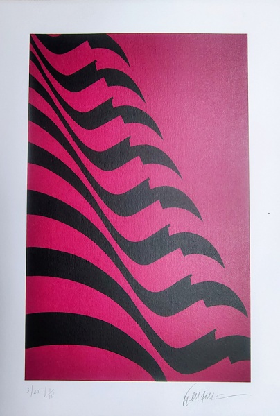 Kleber Ventura - Bandeira Pink
