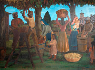 Fulvio Pennacchi - Colheita de Uva
