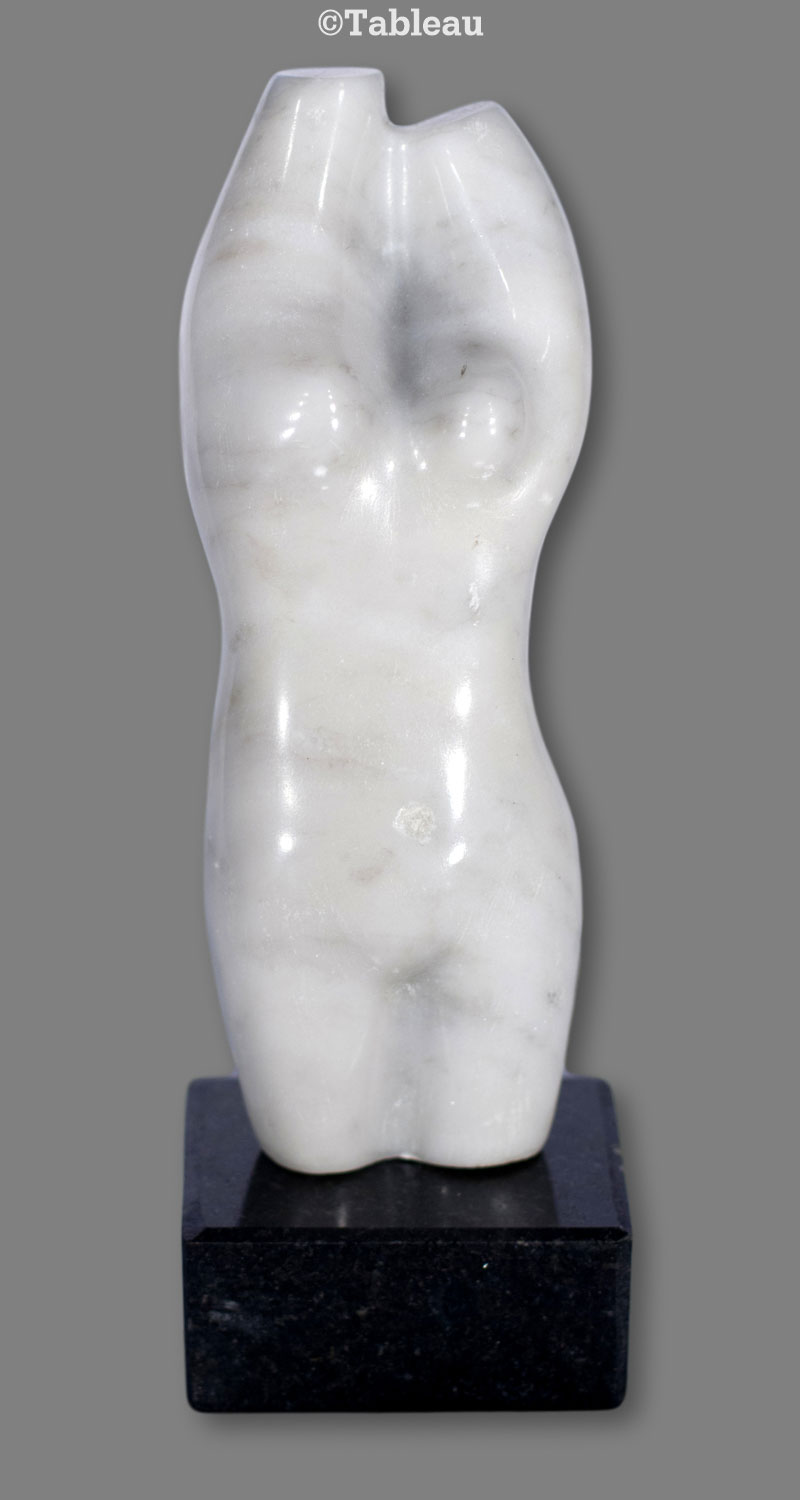 Torso