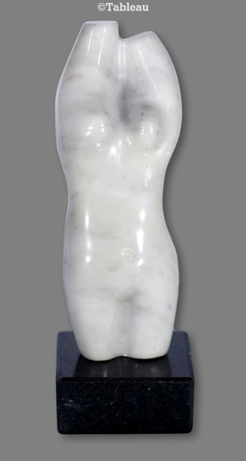Torso