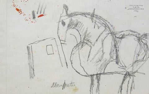 Cavalo