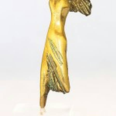 Corpo Feminino Alado