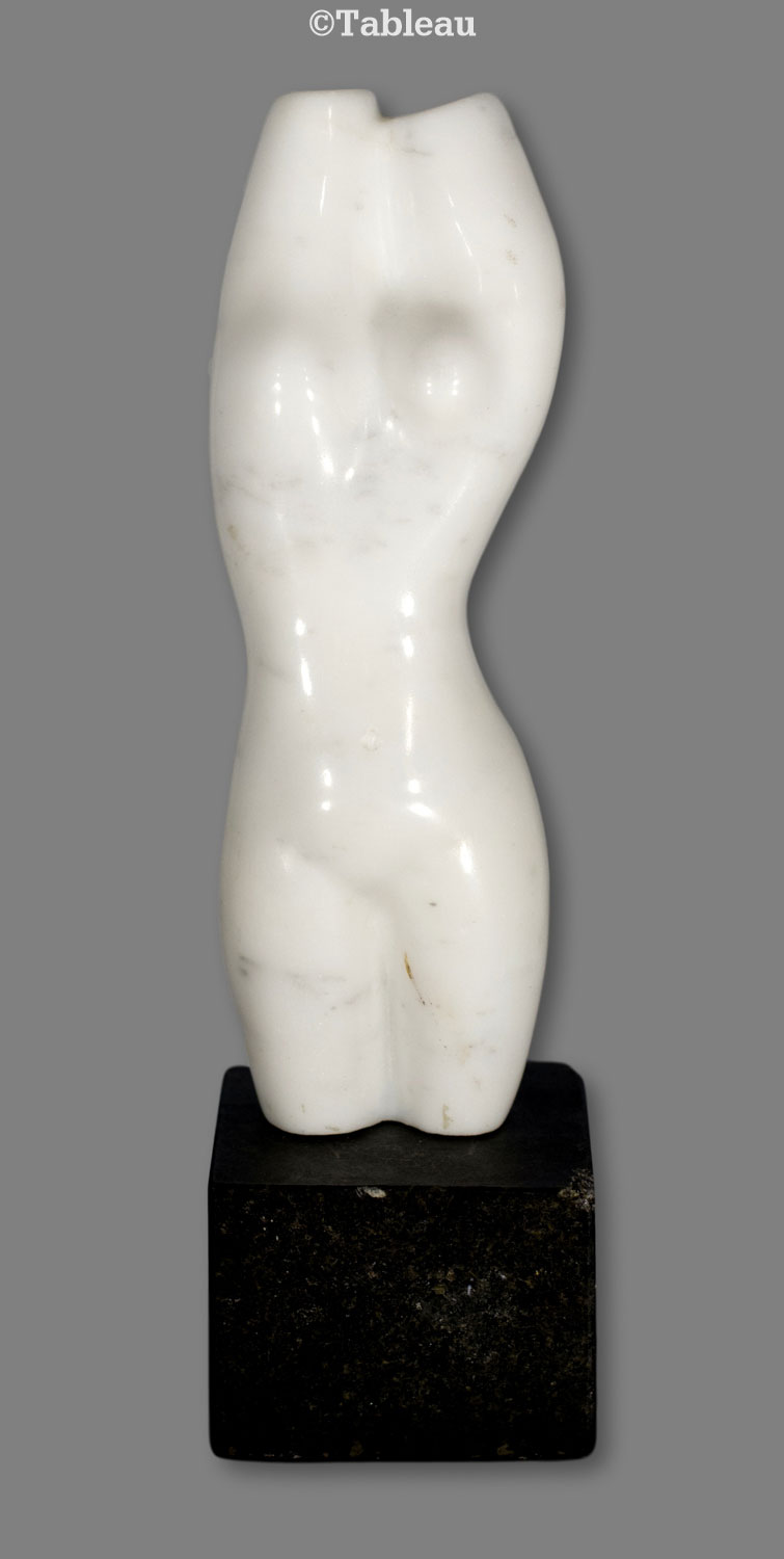 Torso
