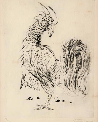 Candido Portinari - Galo