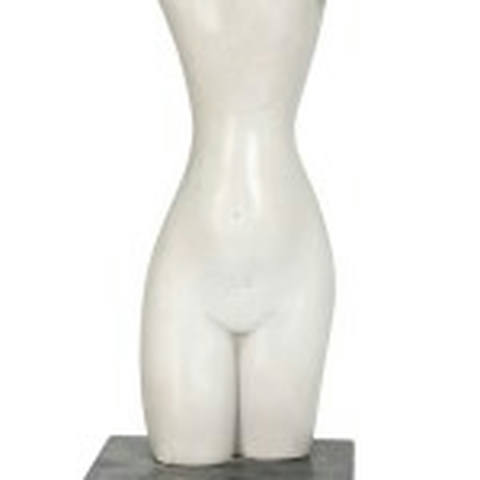 Torso