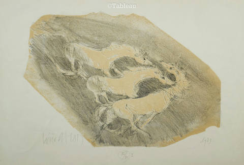Cavalos