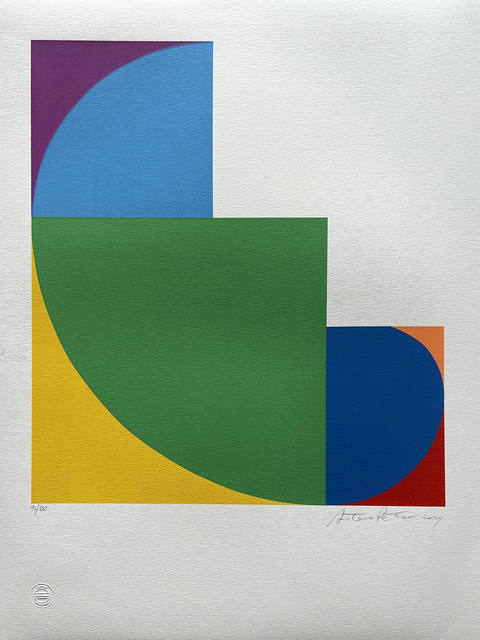 Geometricas & Cromaticas I