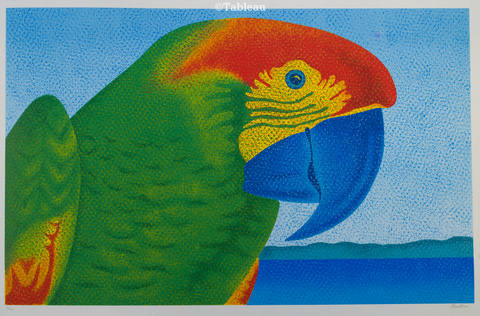 Papagaio