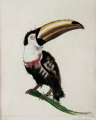 Candido Portinari - Tucano
