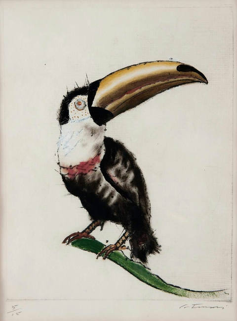 Tucano