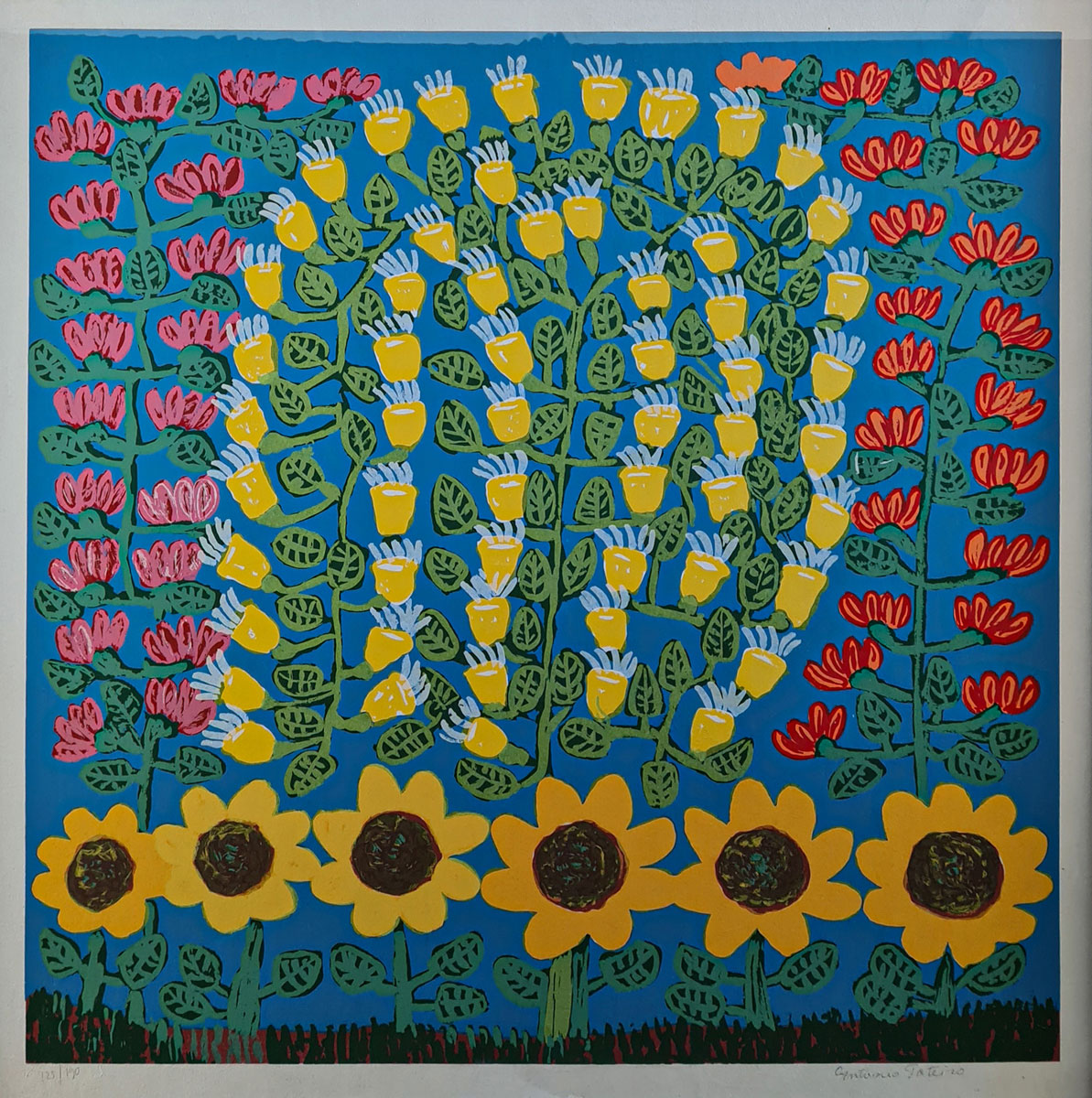Flores