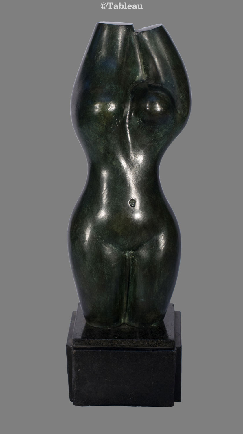 Torso nu