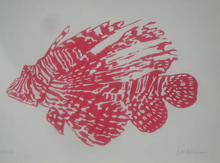 Kleber Ventura - Piranha Rosa