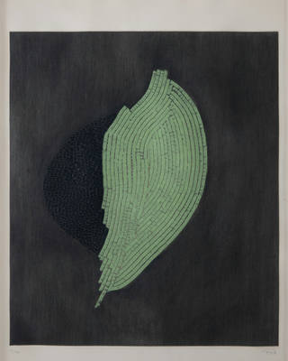 Arthur Luiz Piza - Noiri et Vert