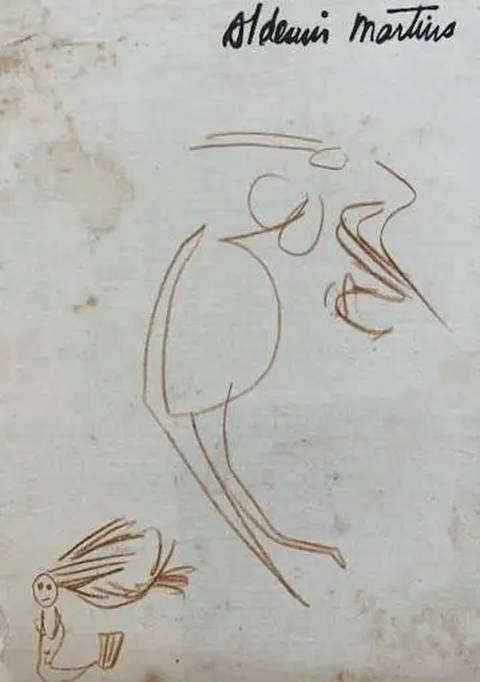 Estudo Sereia