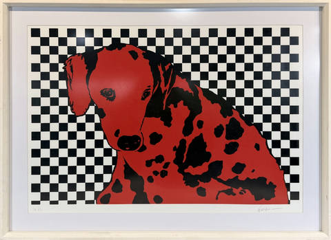 Dalmata vermelho