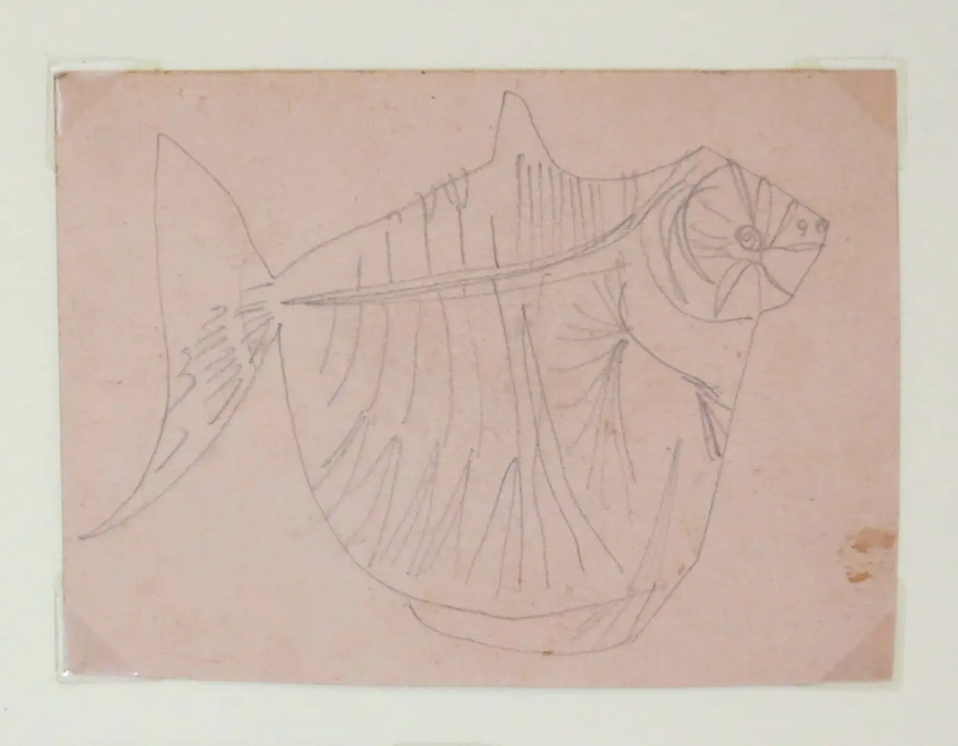 Aldemir Martins - Peixe - Déc 50