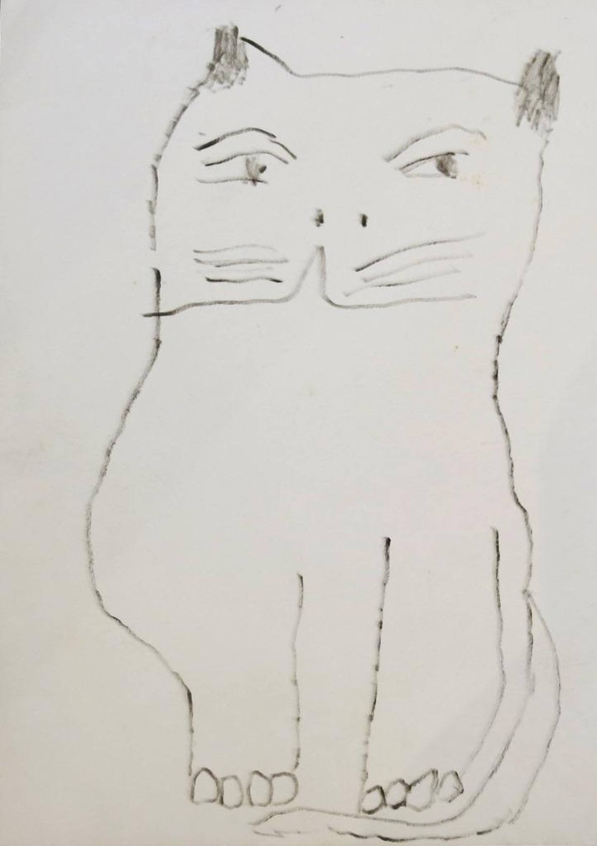 Gatos