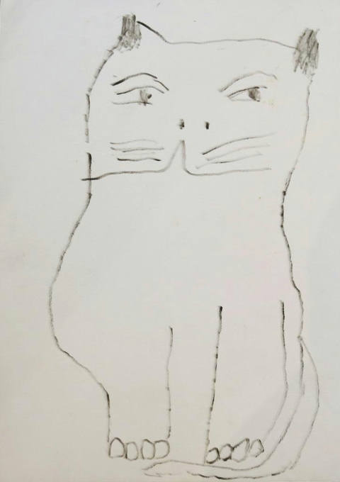 Gatos
