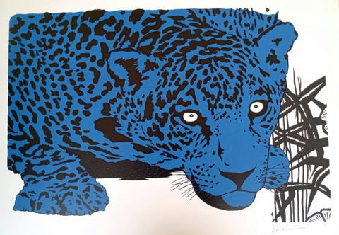 Onça Azul