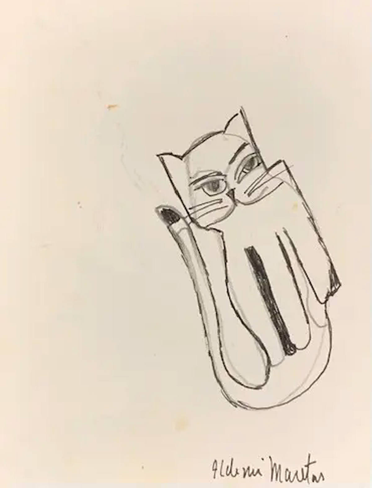 Gato