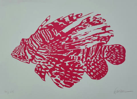 Peixe Rosa
