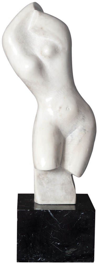 Torso Feminino