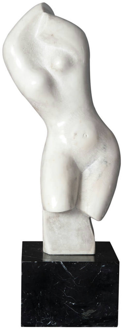Torso Feminino