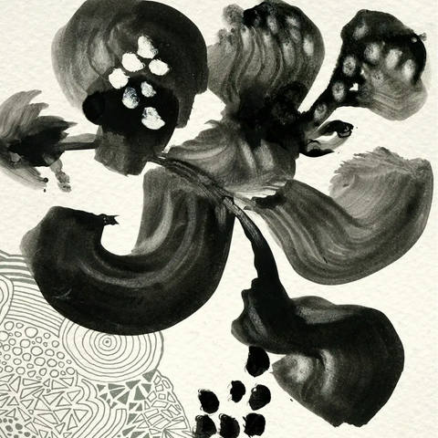 Flores Negras I