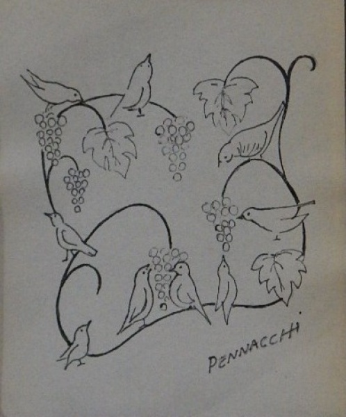 Pássaros