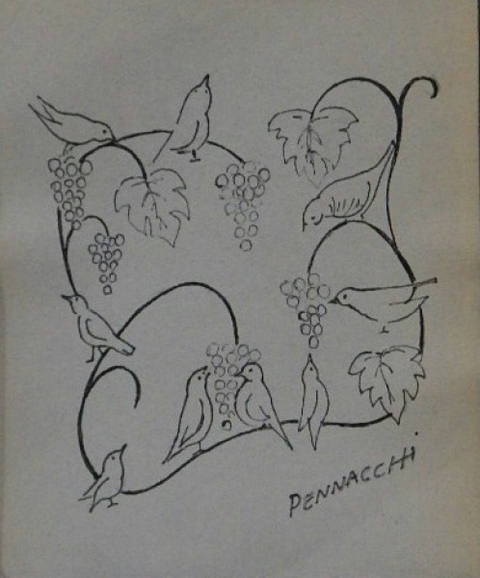 Pássaros
