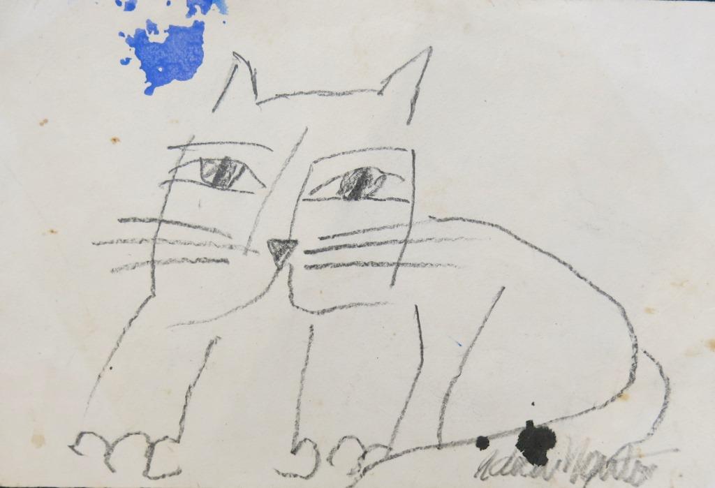 Gatos