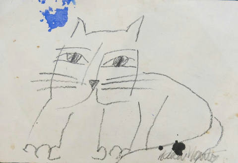 Gatos