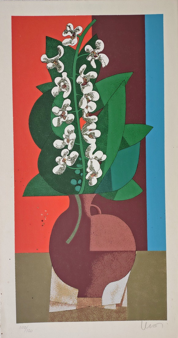 Orquídeas