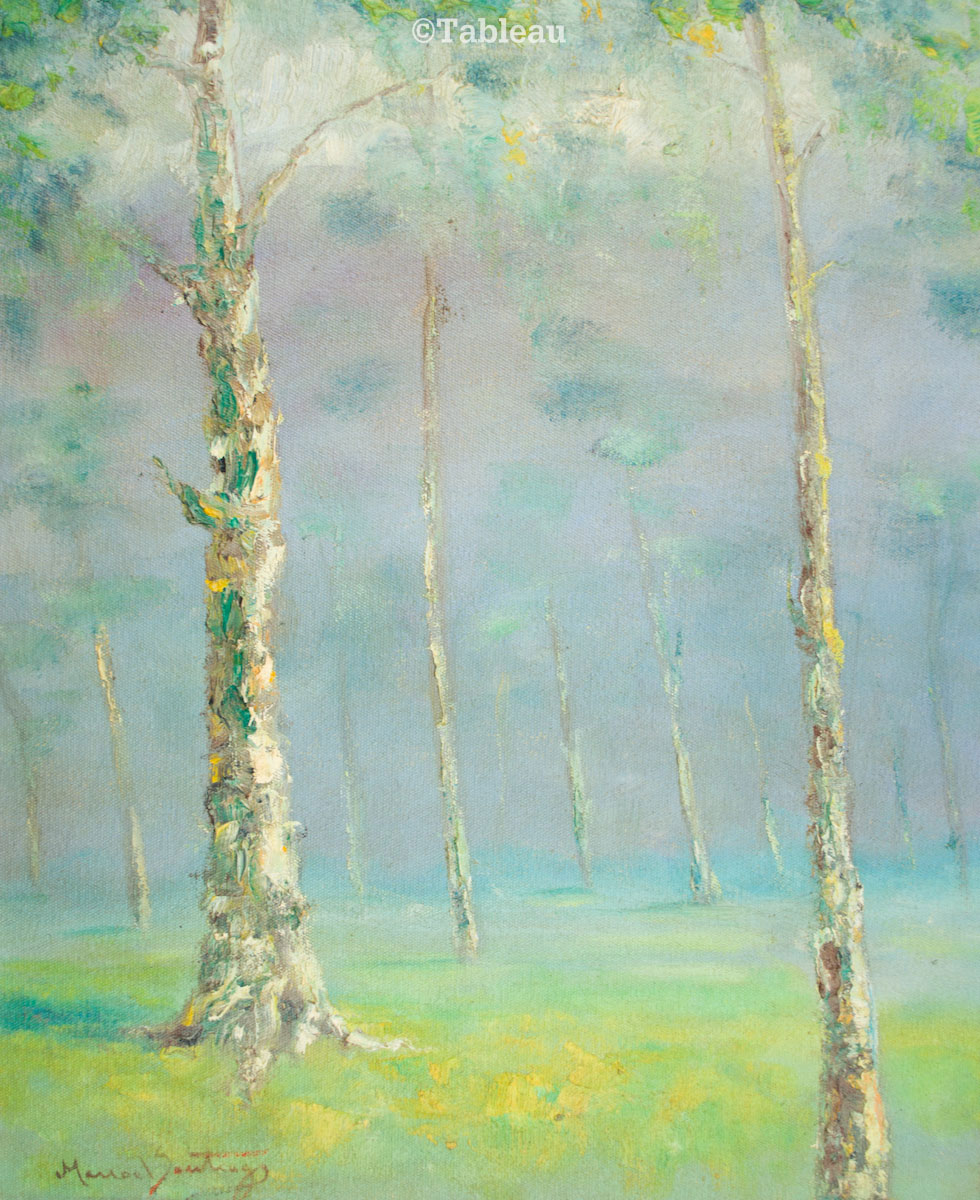 Manoel Santiago - Cascudas