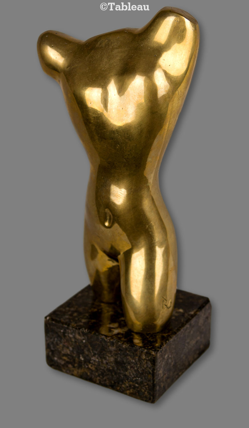 Torso