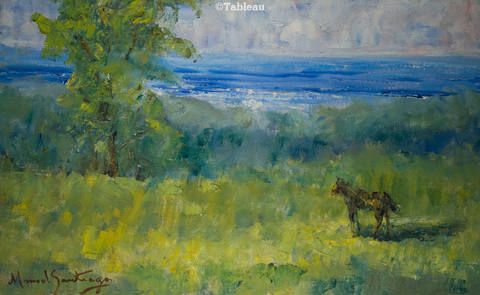 Paisagem com cavalo