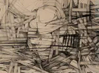 Roberto Burle Marx - Trama