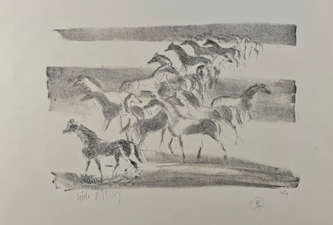 Cavalos