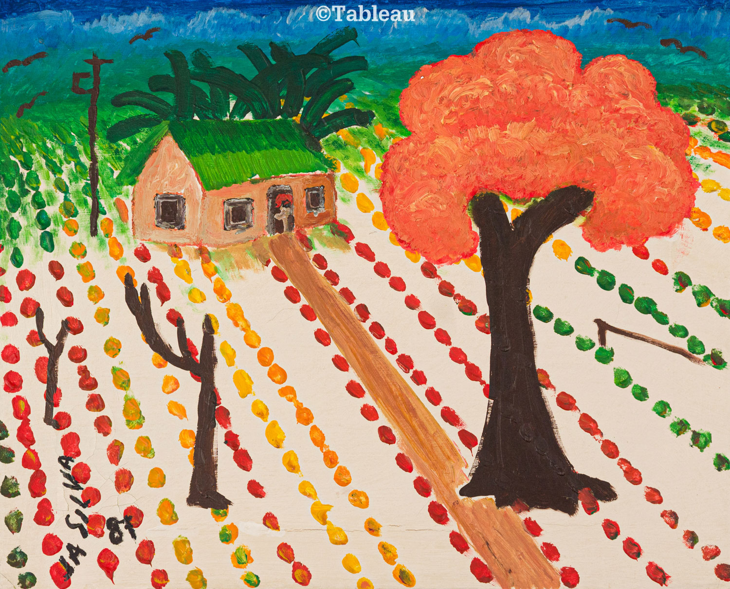 José Antônio da Silva - Fazenda