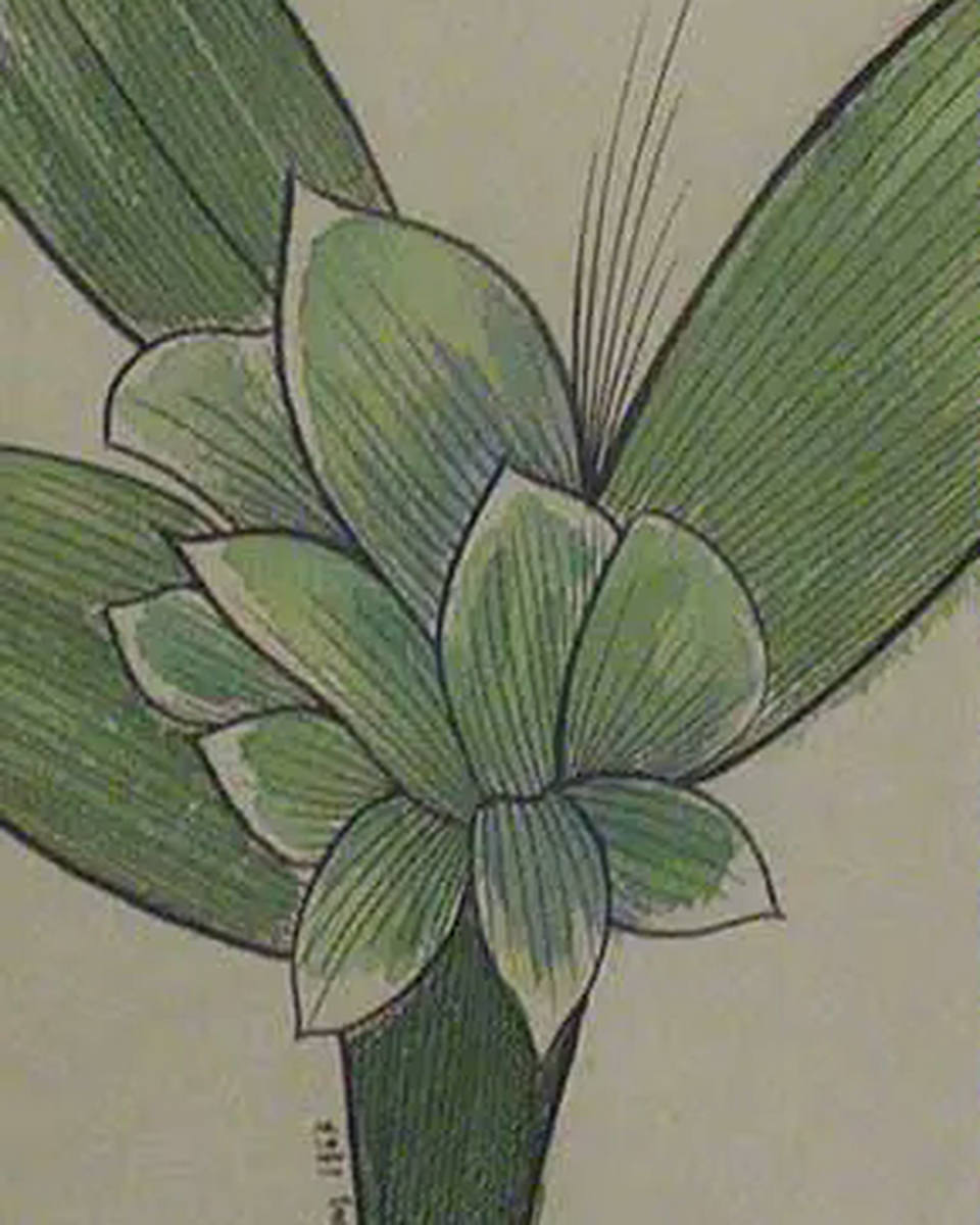 Aldemir Martins - Flor