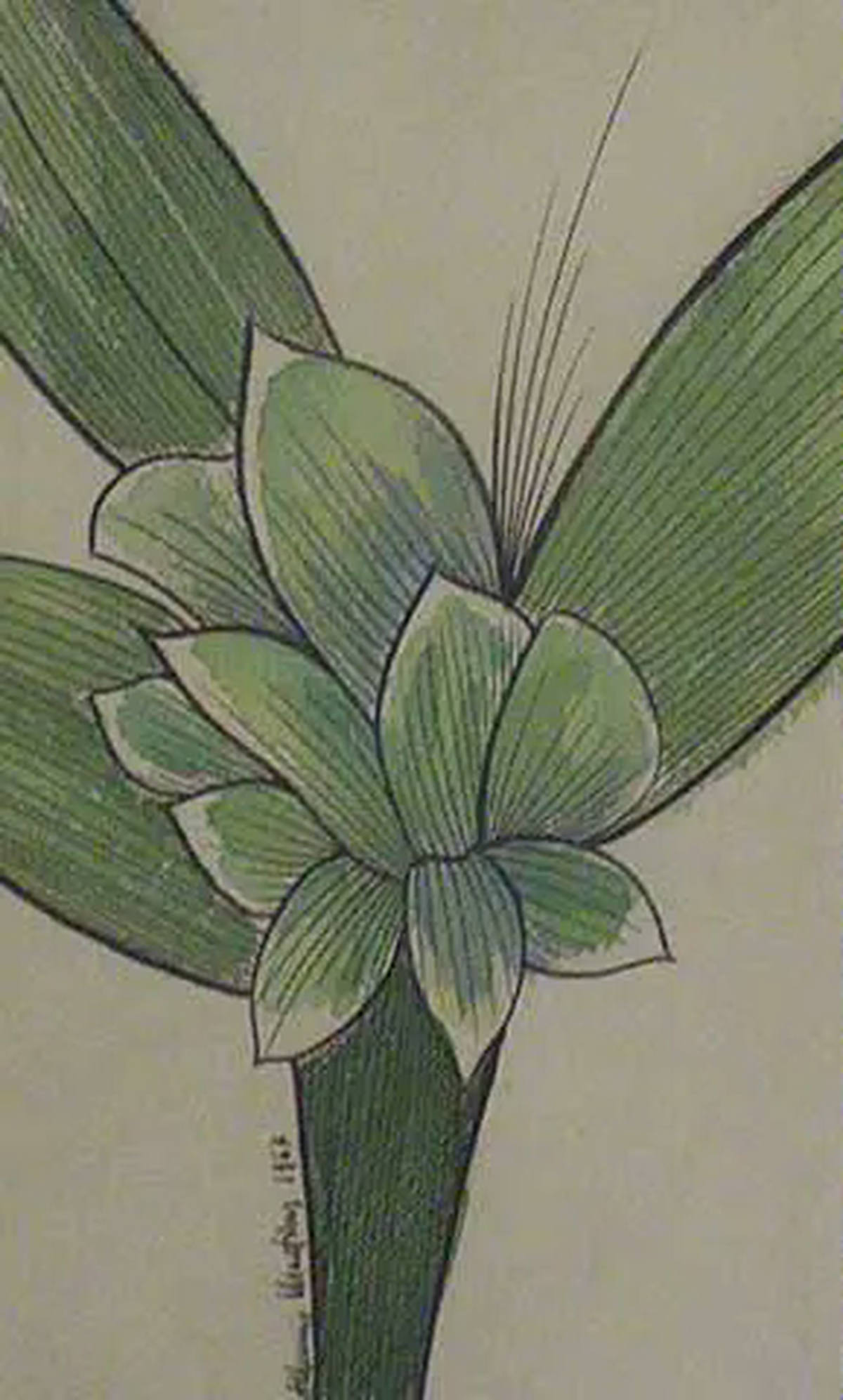 Flor