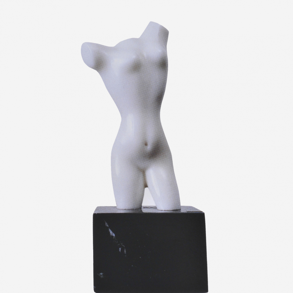 Torso1905 -
