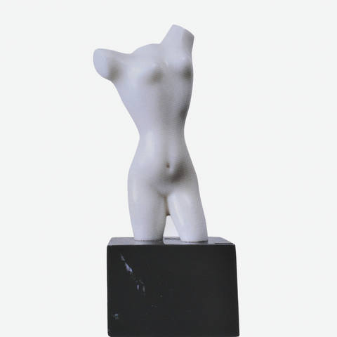 Torso1905 -