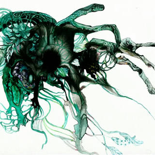 Nato Gomes - Flora Ameaçada VIII